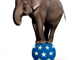 Autism Overload and Elephants in the Room, Pt 1