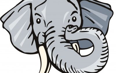 Autism Overload and Elephants in the Room, Pt 2